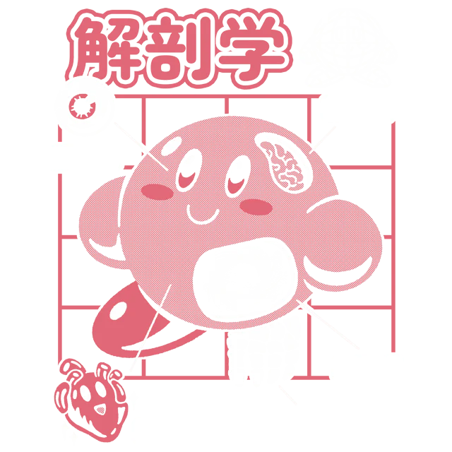 Cute Anatomy