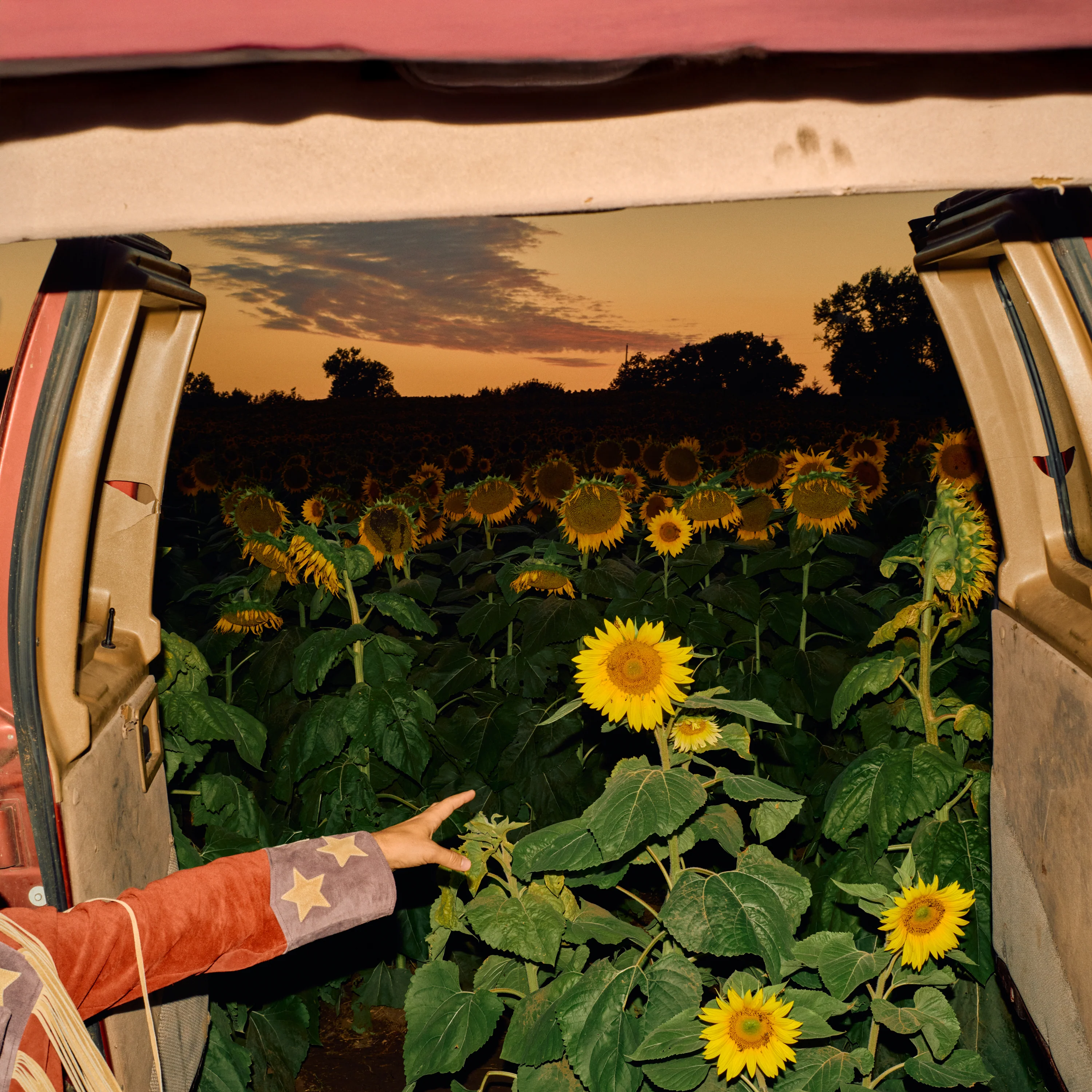 Little Wide Open 2LP - Image 2