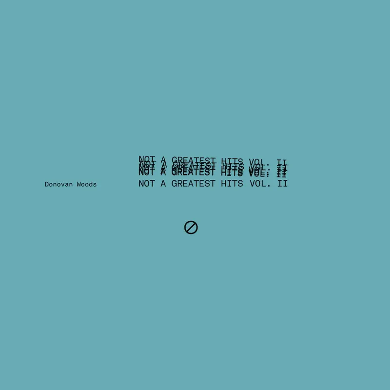 Not A Greatest Hits Vol. II (Sea Blue Vinyl)