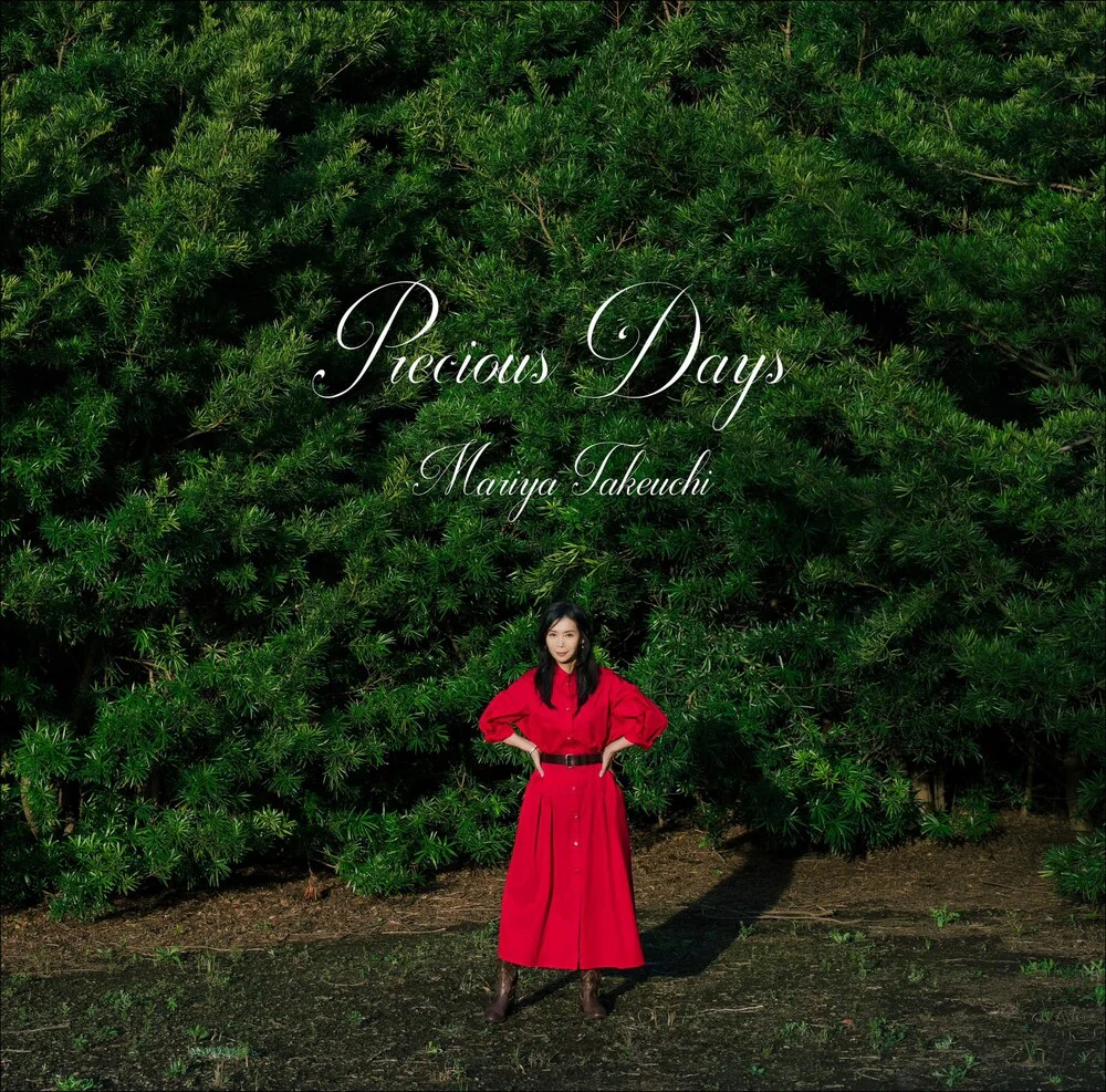 Precious Days [2LP Import]